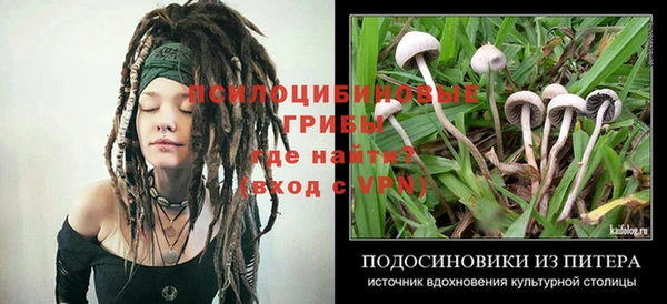 a pvp Абинск
