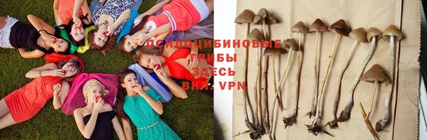 молекула духа Абдулино