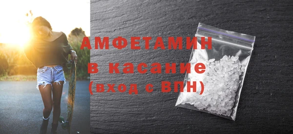 молекула духа Осташков