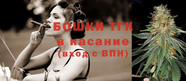 прущие грибы Осинники