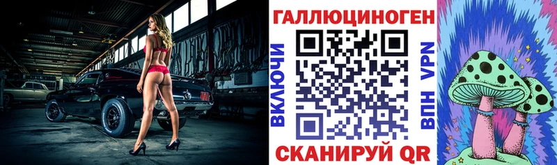 закладки  Рассказово  Псилоцибиновые грибы MAGIC MUSHROOMS 