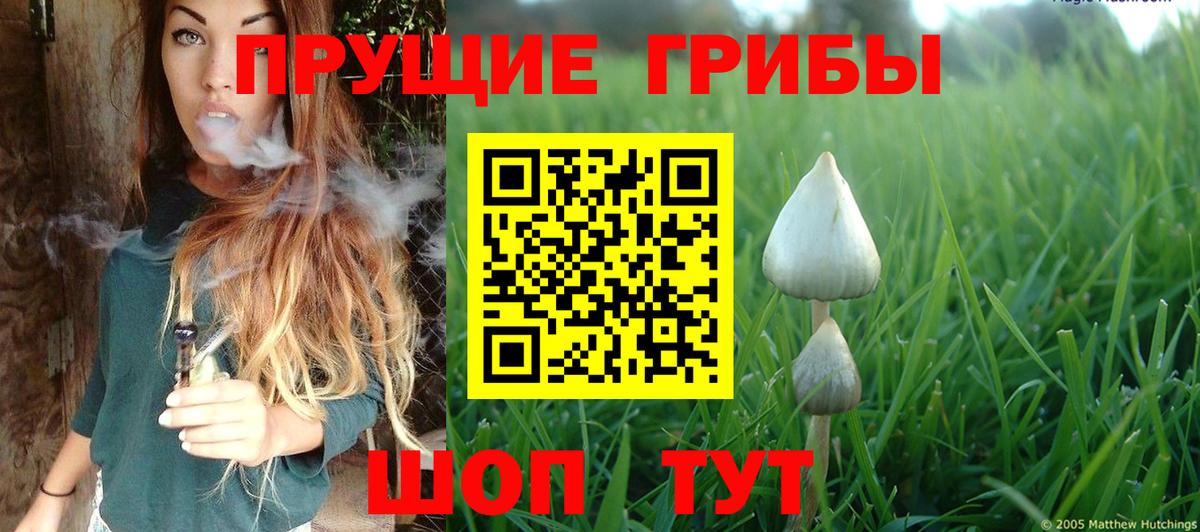 Рассказово  Псилоцибиновые грибы Cubensis  Вход с VPN 