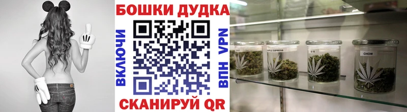 Конопля SATIVA & INDICA наркота Рассказово